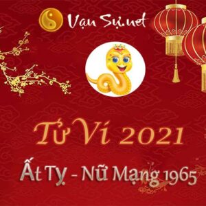 Tử Vi Tuổi Ất Tỵ 2021 - Nữ Mạng Sinh Năm 1965 Chi Tiết