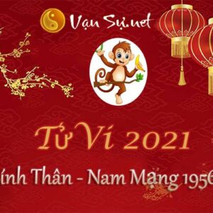 Tử Vi Tuổi Bính Thân 2021 - Nam Mạng Sinh Năm 1956 Chi Tiết