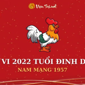 Tử Vi Tuổi Đinh Dậu Năm 2022 - Nam Mạng 1957 Chi Tiết