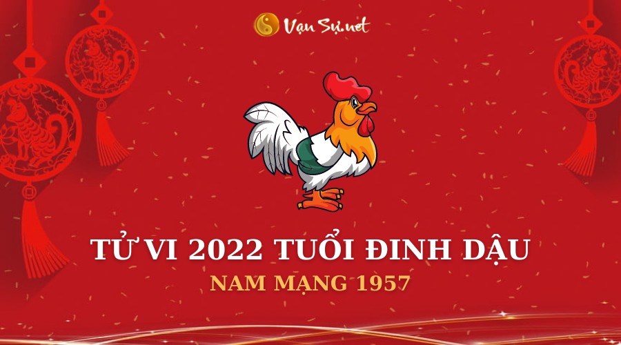 Tử vi nam mạng tuổi Đinh Dậu năm 2022