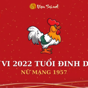 Tử Vi Tuổi Đinh Dậu Năm 2022 - Nữ Mạng 1957 Chi Tiết