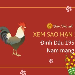 Tử Vi Tuổi Đinh Dậu 1957 Năm 2024 - Những Dự Đoán Hấp Dẫn Về Tương Lai