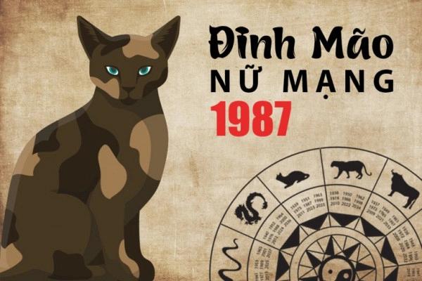 Tử Vi Tuổi Đinh Mão 1987 - Phân Tích Chi Tiết Tại Năm 2024