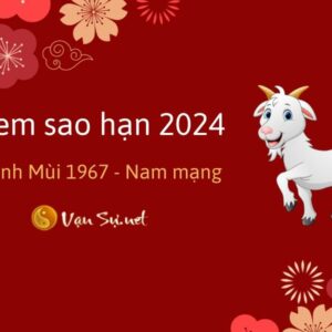 Tử Vi Tuổi Đinh Mùi 1967 Năm 2024 - Nam Mạng: Tìm Hiểu Tử Vi Mới