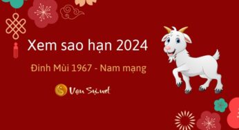 Tử Vi Tuổi Đinh Mùi 1967 Năm 2024 – Nam Mạng: Tìm Hiểu Tử Vi Mới