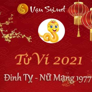 Tử Vi Tuổi Đinh Tỵ 2021 - Nữ Mạng Sinh Năm 1977 Chi Tiết