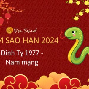 Tử Vi Tuổi Đinh Tỵ 1977 Năm 2024 - Nam Mạng: Các Lời Tiên Tri Đầy Hứa Hẹn