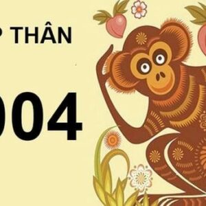 Tử Vi Tuổi Giáp Thân 2004 - Sự Hấp Dẫn Của Nữ Mạng Năm 2024