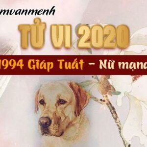 Xem tử vi năm 2020 tuổi Giáp Tuất 1994 năm 2020 - Tình hình và dự báo