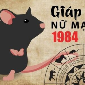 Tử vi tuổi Giáp Tý 1984 - Nữ mạng năm 2024: Bước vào cuộc sống mới