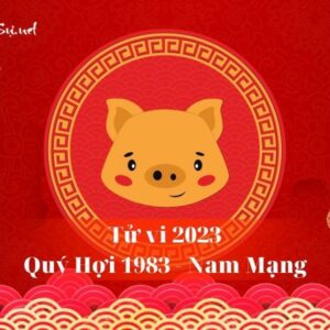 Tử Vi Tuổi Quý Hợi 1983 Năm 2023 - Nam Mạng