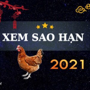 Tử Vi Tuổi Kỷ Dậu 2021 - Những Điều Thú Vị Về Nữ Mạng Sinh Năm 1969