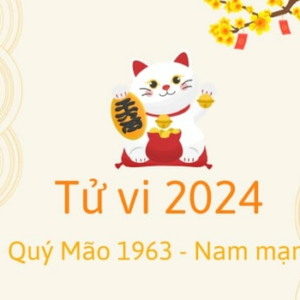 Tử vi tuổi Quý Mão 1963 - Nam mạng 2024: Dự báo chi tiết nhất