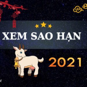 Tử Vi Tuổi Đinh Mùi 2021 - Nam Mạng Sinh Năm 1967: Những Diễn Biến Đặc Biệt