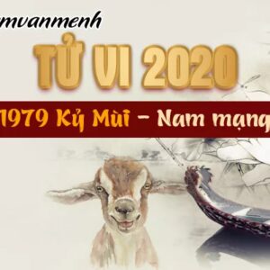 Xem tử vi 2020 tuổi Kỷ Mùi 1979 nam mạng