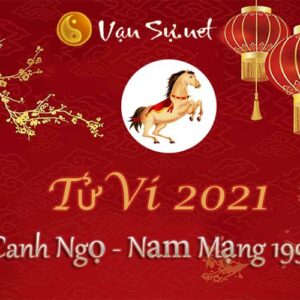 Tử Vi Tuổi Canh Ngọ 2021 - Nam Mạng Sinh Năm 1990 Chi Tiết