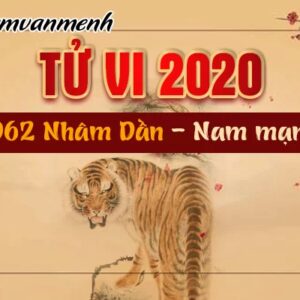 Tử vi tuổi Nhâm Dần 1962 nam mạng năm 2020: Đánh giá và dự báo