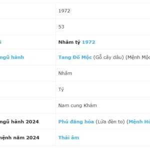 Xem tử vi tuổi Nhâm Tý 1972 - Nam mạng năm 2024 CHI TIẾT NHẤT