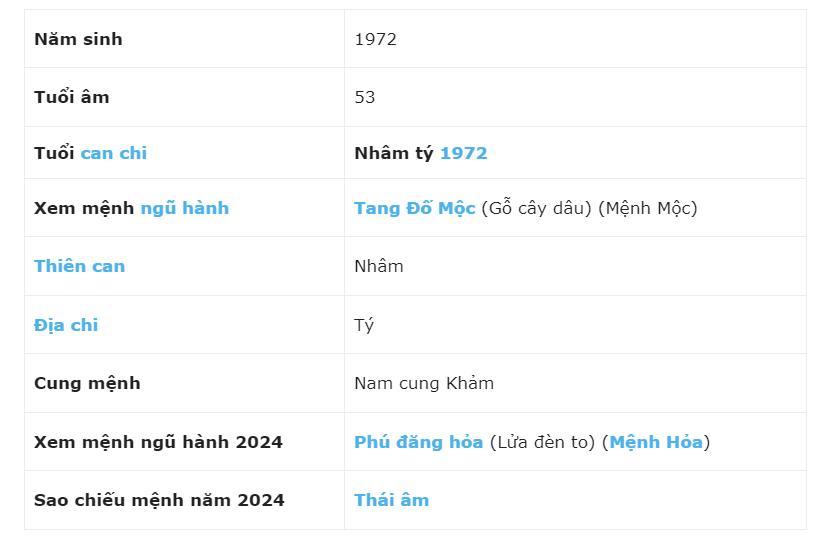 xem-tu-vi-tuoi-nham-ty-1972-nam-mang-nam-2024-chi-tiet-nhat-n17t-onehousing-1