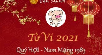 Tử Vi Tuổi Quý Hợi 2021 – Nam Mạng Sinh Năm 1983: Tổng quan và Diễn biến