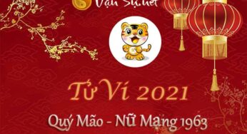 Tử Vi Tuổi Quý Mão 2021 – Nữ Mạng Sinh Năm 1963: Những Tín Hiệu Đáng Chú Ý