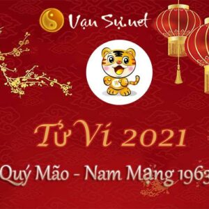 Tử Vi Tuổi Quý Mão 2021 - Nam Mạng Sinh Năm 1963 Chi Tiết