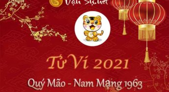 Tử vi tuổi Quý Mão 2021 – Sự nghiệp, tình duyên, và phong thủy