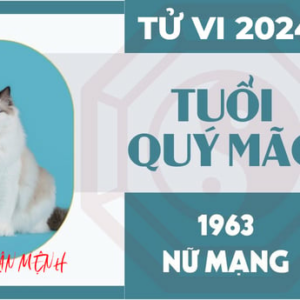 Xem Tử Vi Tuổi Quý Mão 1963 - Sự Tiến Triển Trải Qua Mọi Thử Thách