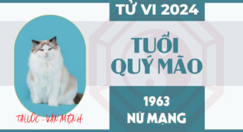 Xem Tử Vi Tuổi Quý Mão 1963 – Sự Tiến Triển Trải Qua Mọi Thử Thách