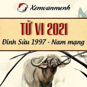 Xem tử vi năm 2021 tuổi Đinh Sửu 1997 nam mạng