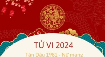 Tử Vi Tuổi Tân Dậu 1981 Năm 2024 – Những Điều May Mắn Đang Chờ Đón