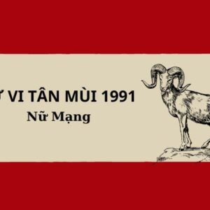 Tử vi nữ 1991 – Tử vi trọn đời dành cho nữ mạng Tân Mùi