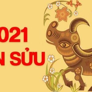 Xem tử vi tuổi Tân Sửu bé sinh năm 2021