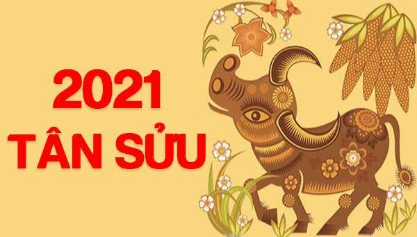 Xem tử vi tuổi Tân Sửu bé sinh năm 2021