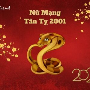 Tử Vi Tuổi Tân Tỵ 2001 Năm 2023 - Nữ Mạng