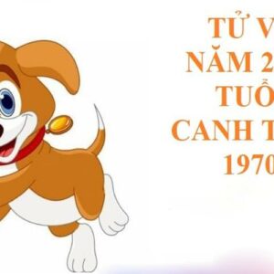 Tử vi Canh Tuất năm 2021 - Mở Rộng Tầm Mắt Với Các Triển Vọng Mới