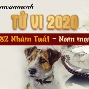 Tử Vi Năm 2020: Xem Tử Vi Tuổi Nhâm Tuất 1982 Nam Mạng