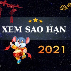 Tử Vi Tuổi Giáp Tý 2021 - Những Điều Thú Vị Về Nam Mạng Sinh Năm 1984