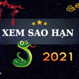 Tử Vi Tuổi Kỷ Tỵ 2021 - Những Điều Bạn Cần Biết