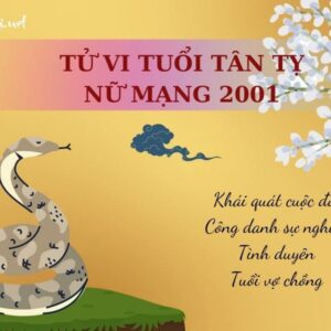 Tử Vi Tuổi Tân Tỵ 2001 - Nữ mạng | Chi tiết tử vi trọn đời