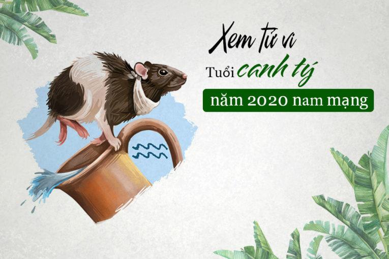 Tử vi tuổi canh tý nam mạng năm 2020 chuẩn nhất