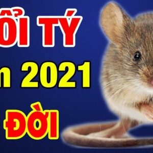 Tử vi người tuổi Tý năm 2021: Vận khí hanh thông, hứa hẹn đón nhiều điều tốt đẹp bất ngờ