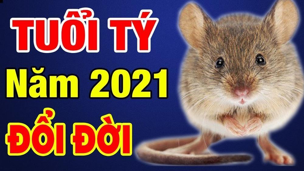 Tử vi người tuổi Tý năm 2021: Vận khí hanh thông, hứa hẹn đón nhiều điều tốt đẹp bất ngờ