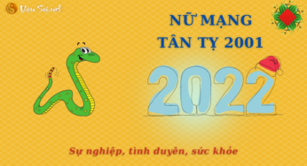 Tử Vi Tuổi Tân Tỵ Năm 2022 – Tất cả những gì bạn cần biết