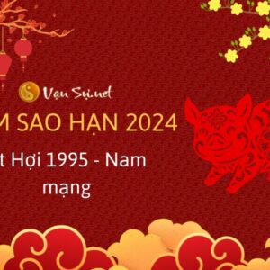 Tử Vi Tuổi Ất Hợi 1995 Năm 2024 - Nam Mạng