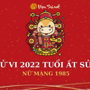 Tử Vi Tuổi Ất Sửu Năm 2022 - Nữ Mạng 1985 Chi Tiết