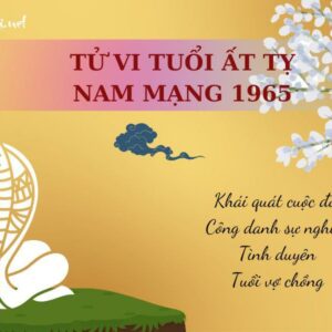 Tử Vi Tuổi Ất Tỵ 1965 - Nam mạng | Chi tiết tử vi trọn đời