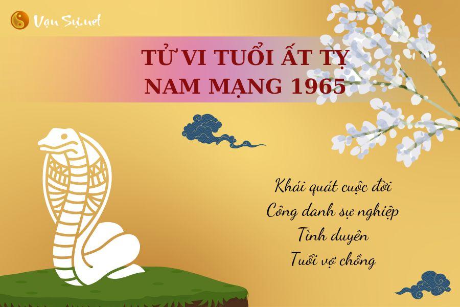 Tử Vi Tuổi Ất Tỵ 1965 - Nam mạng | Chi tiết tử vi trọn đời