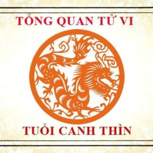 Xem tử vi tuổi Canh Thìn 2000 - Nam mạng năm 2024 CHI TIẾT NHẤT