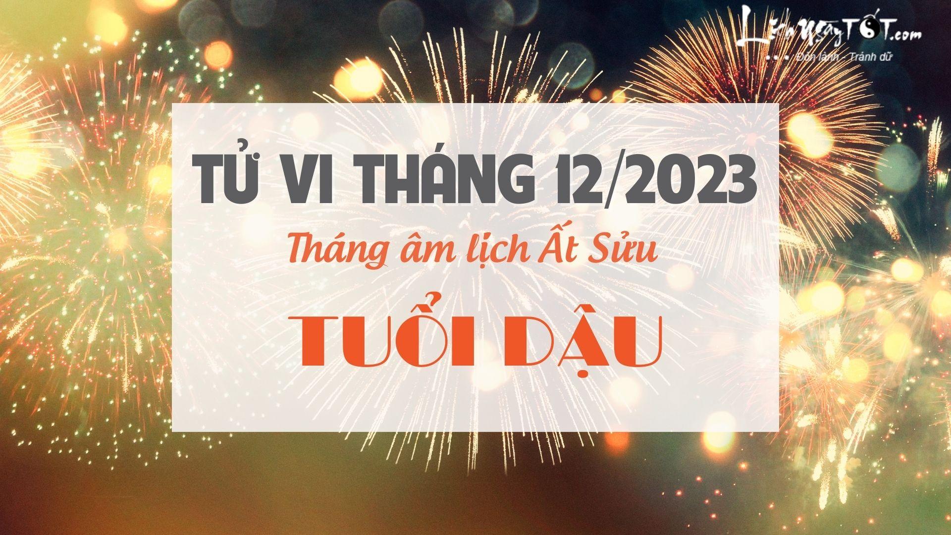 Tu vi thang 12/2023 tuoi Dau am lich